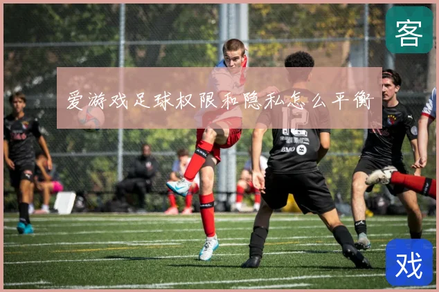 爱游戏足球权限和隐私怎么平衡